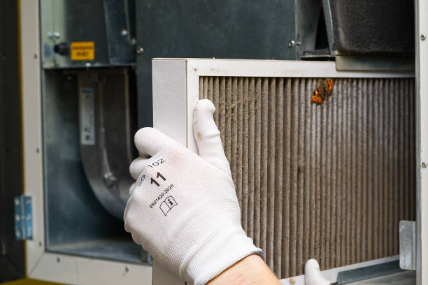 Best Emergency Air Duct Cleaning  in Washoe Valley, NV