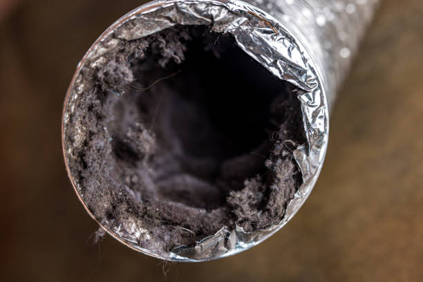 Best Air Duct Cleaning Near Me  in Washoe Valley, NV