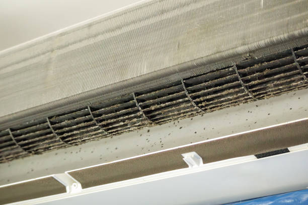 Best HVAC Duct Inspection Services  in Washoe Valley, NV