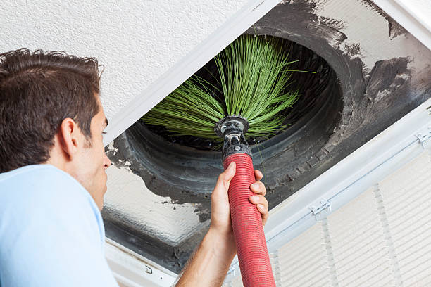 Best Best Air Duct Cleaning Company  in Washoe Valley, NV