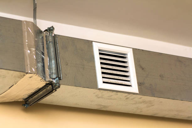 Best Affordable HVAC Duct Cleaning  in Washoe Valley, NV